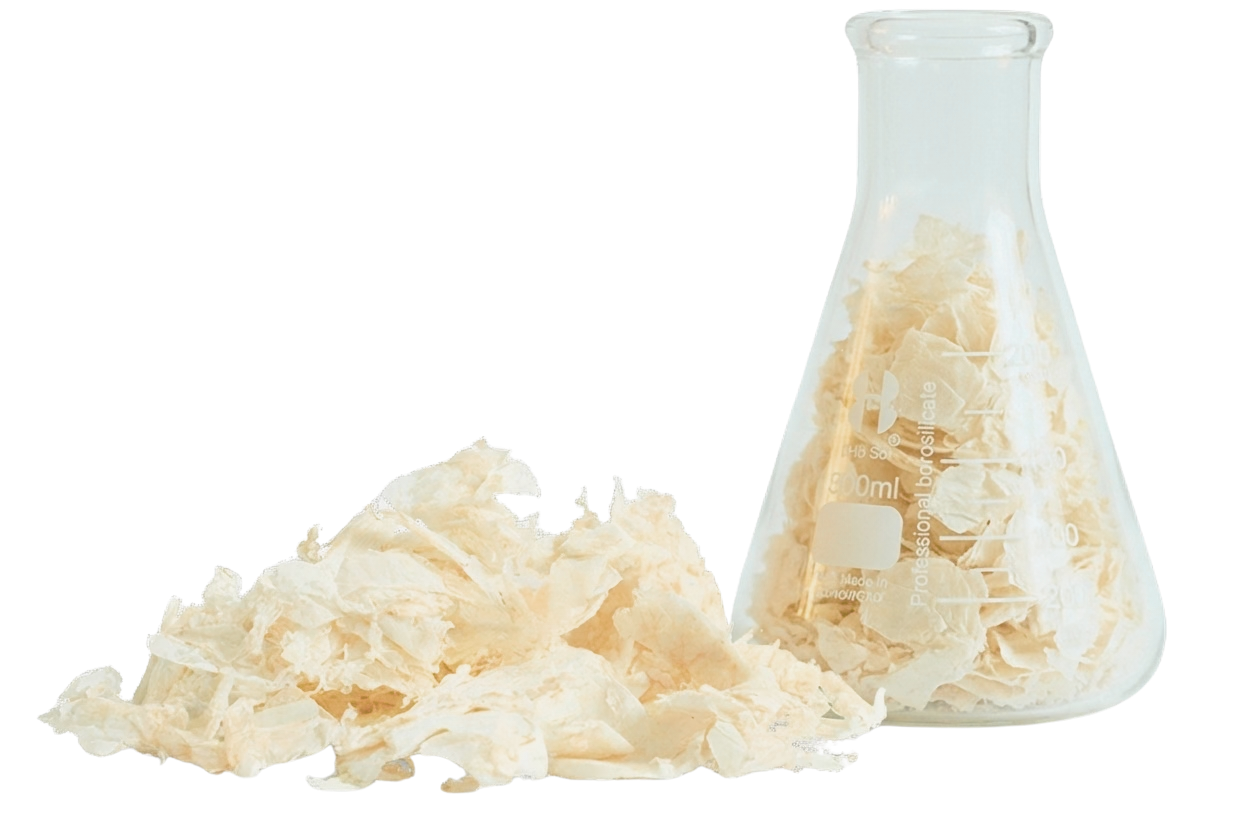 Chitosan biopolymer